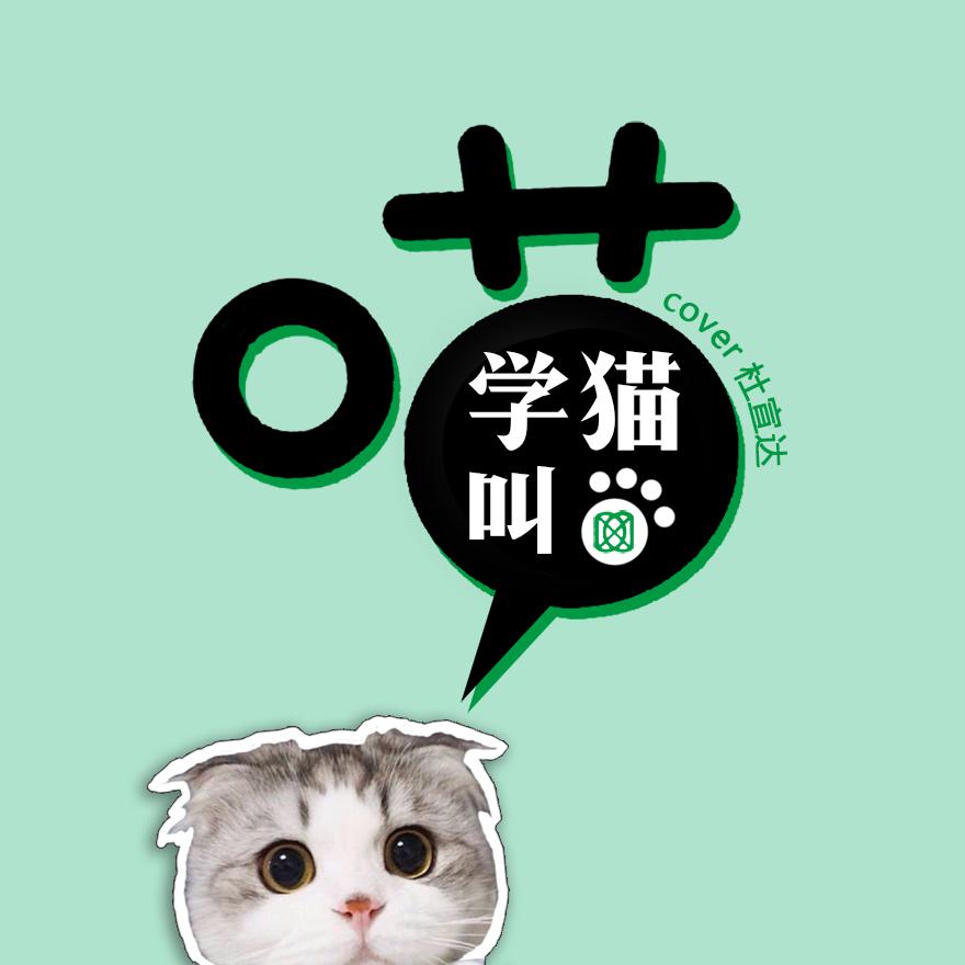 学猫叫最新的温馨日常分享