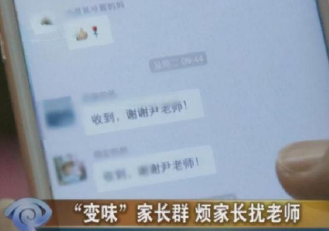 家长群最新动态，现代教育合作与沟通的新趋势探讨