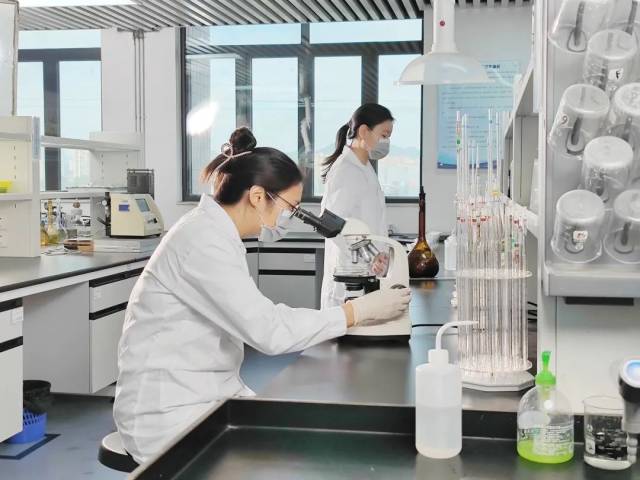 2024年资料大全免费,科学分析严谨解释_移动版76.436