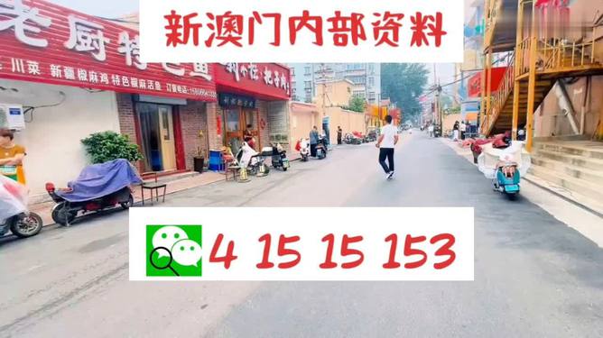 2024新澳门天天开好彩大全正版,实地研究解答协助_神秘版43.291