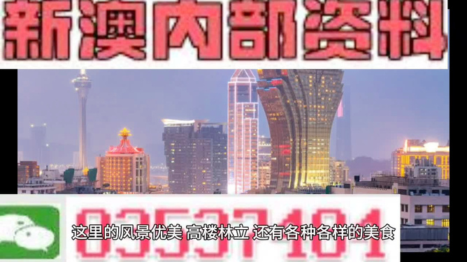 新澳免费资料精准大全,灵活执行方案_全景版8.289