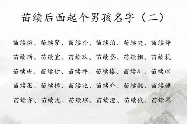 苗姓最新排名与小巷中的独特风味探索之旅