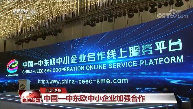 今晚三中三免费公开资料,行动规划执行_赛博版57.139