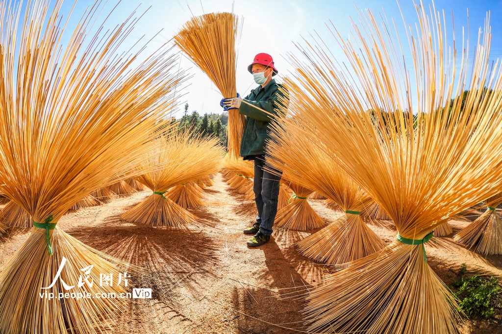 传统与时尚完美融合，最新竹子鼓的魅力展现