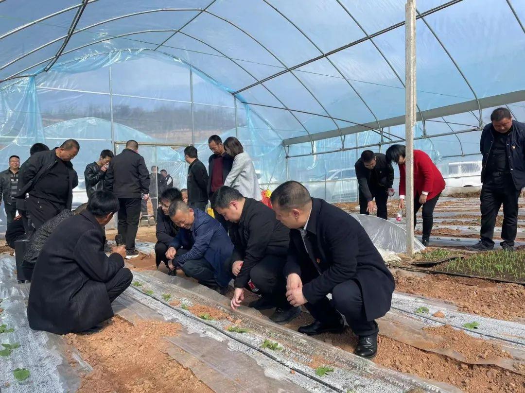 水阳镇最新高科技产品介绍概览