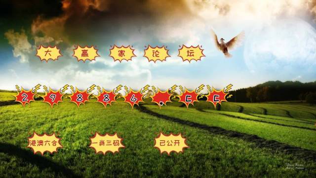 基础电信业务 第244页