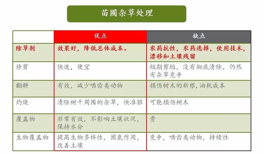 信息技术 第263页