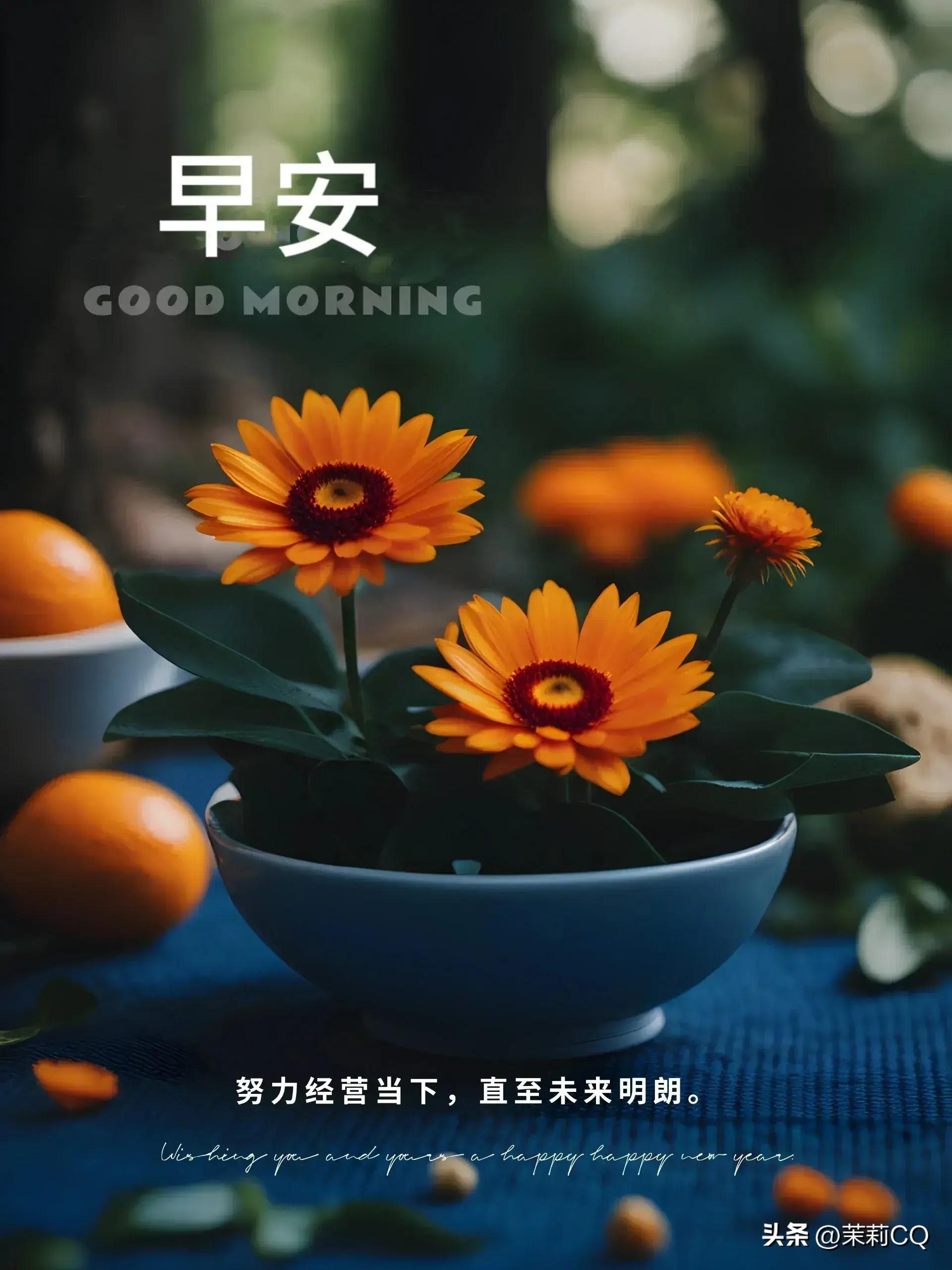 软件开发 第247页