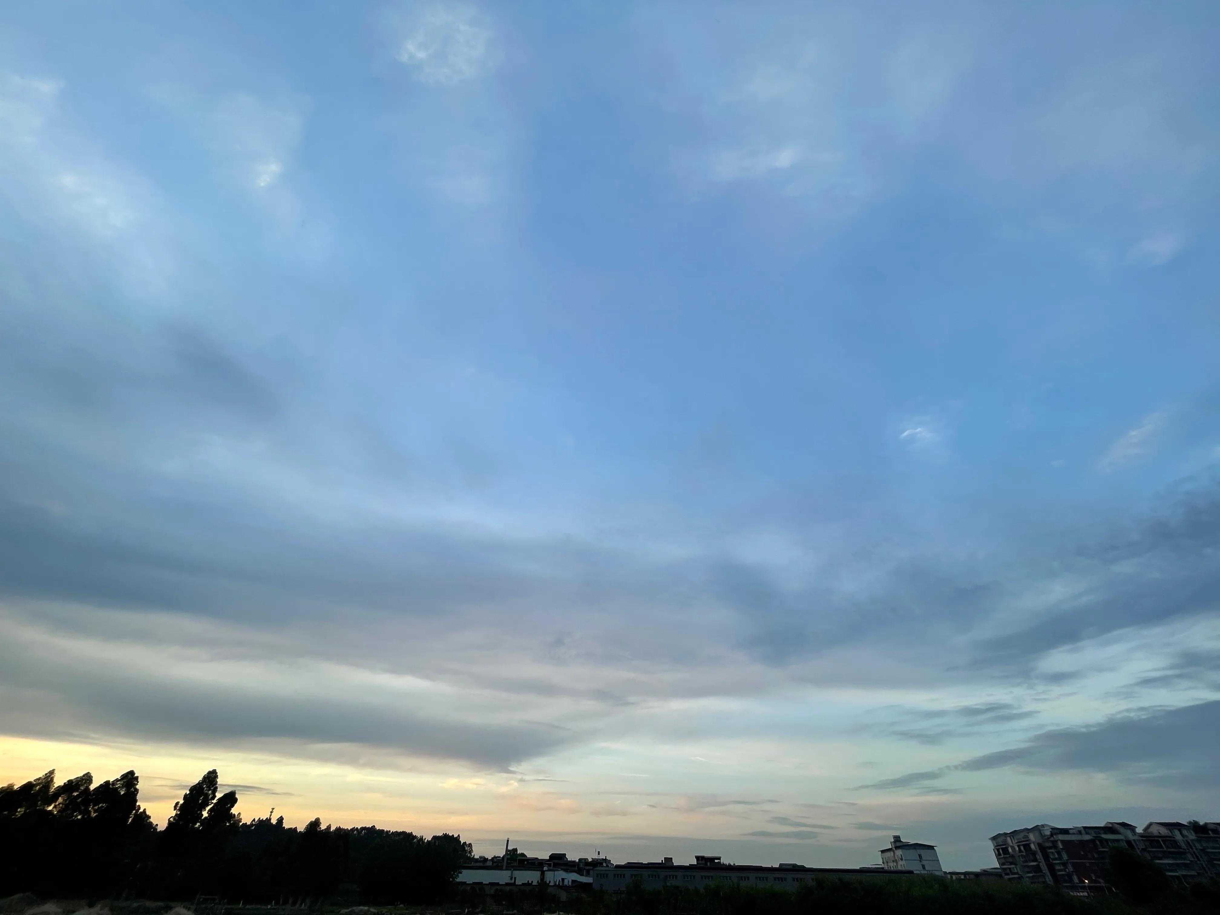 信息技术 第254页