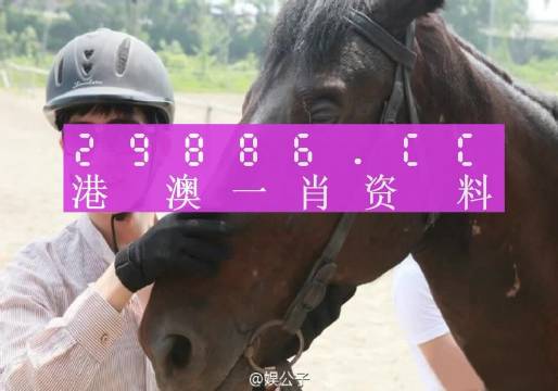 澳门一肖一码一必中一肖同舟前进,案例实证分析_目击版55.632