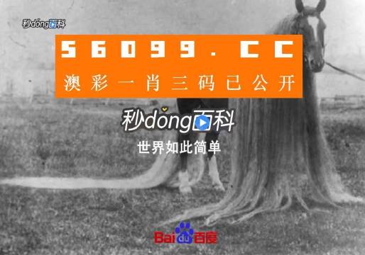 澳门必中一一肖一码服务内容,快速解决方式指南_旅行版66.404