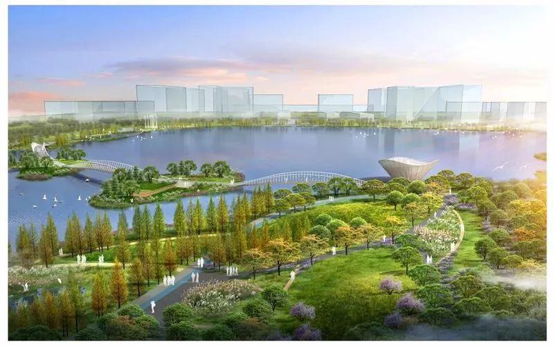 小红书带你领略最新运动风采与赛事动态