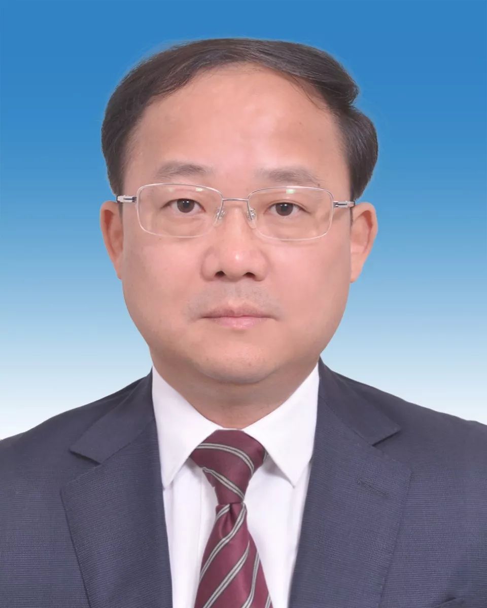 揭秘谢正义的崭新职务，新任领导角色的重磅揭晓