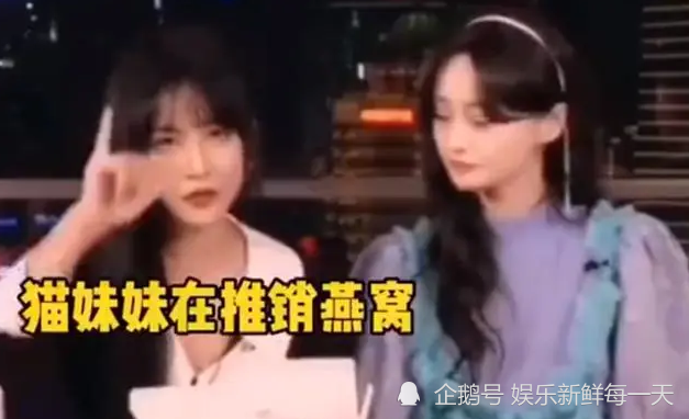 猫妹妹事件最新进展及关注与应对指南
