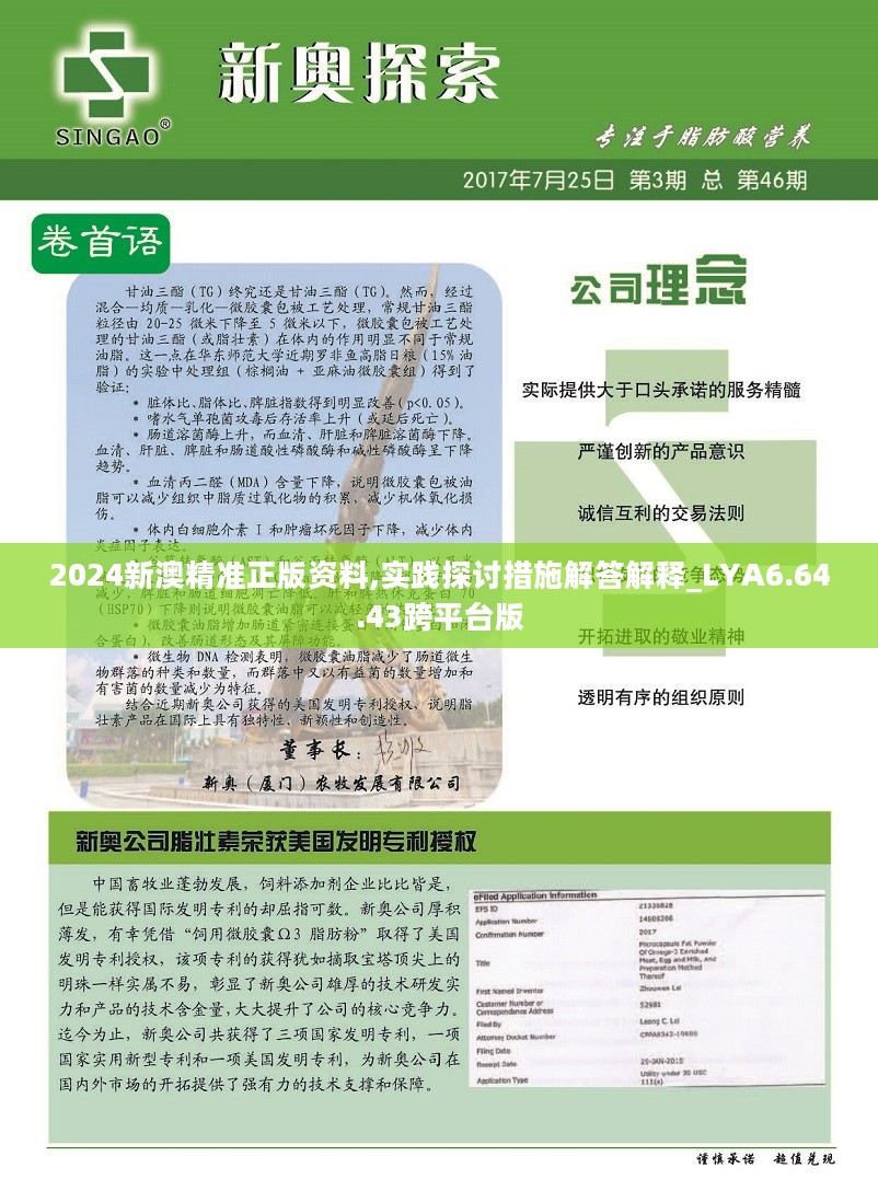 2024新澳精准正版资料,高效性设计规划_环境版62.279