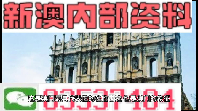 2024新澳门正版免费资料,实际调研解析_铂金版84.547