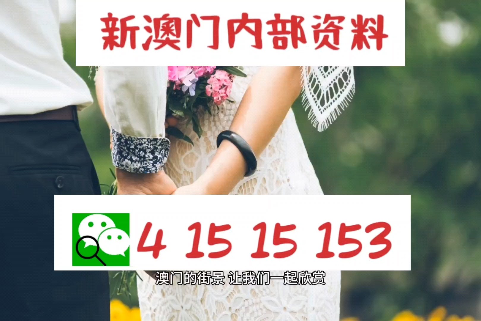 2024新澳门正版精准免费大全,高效执行方案_轻量版13.362