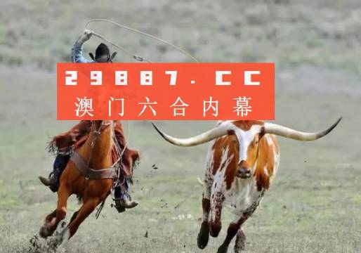2024澳门最精准跑狗图,实证数据分析_Allergo版(意为轻快)94.964