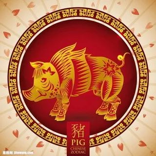 摇钱树四肖八码期期三码必中,决策支持方案_知识版38.378