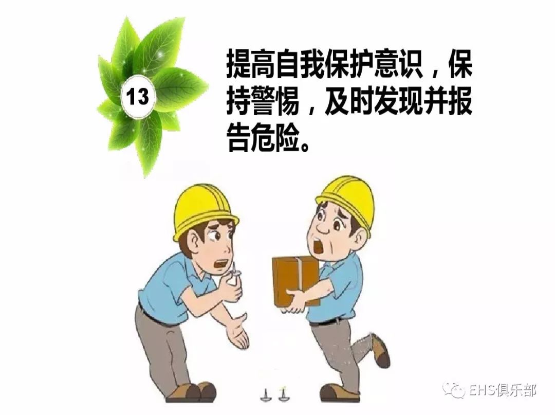 王中王资料大全料大全1,专业解读评估_安全版49.313