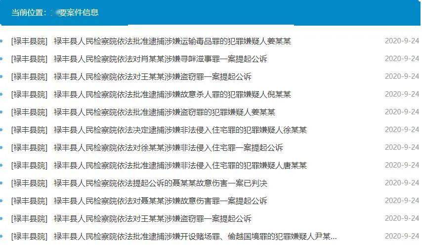 2024年新澳开奖结果查询表,最新碎析解释说法_炼皮境93.239