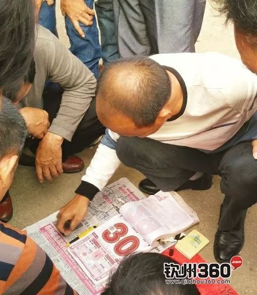 一肖12码中特期准,信息明晰解析导向_潮流版92.972