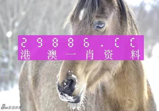 新澳门精准一肖一码100%l？,科学解说指法律_别致版25.457