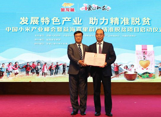 白小姐精准免费四肖四码,全身心数据计划_拍照版24.373