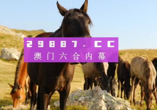 管家婆一肖一码澳门码资料,权威解析方法_生态版26.665
