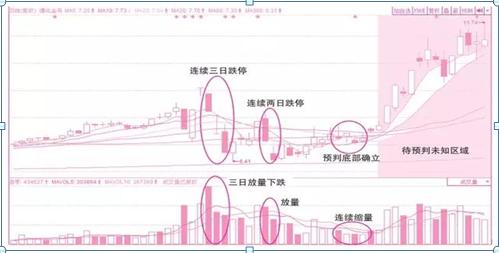 第537页