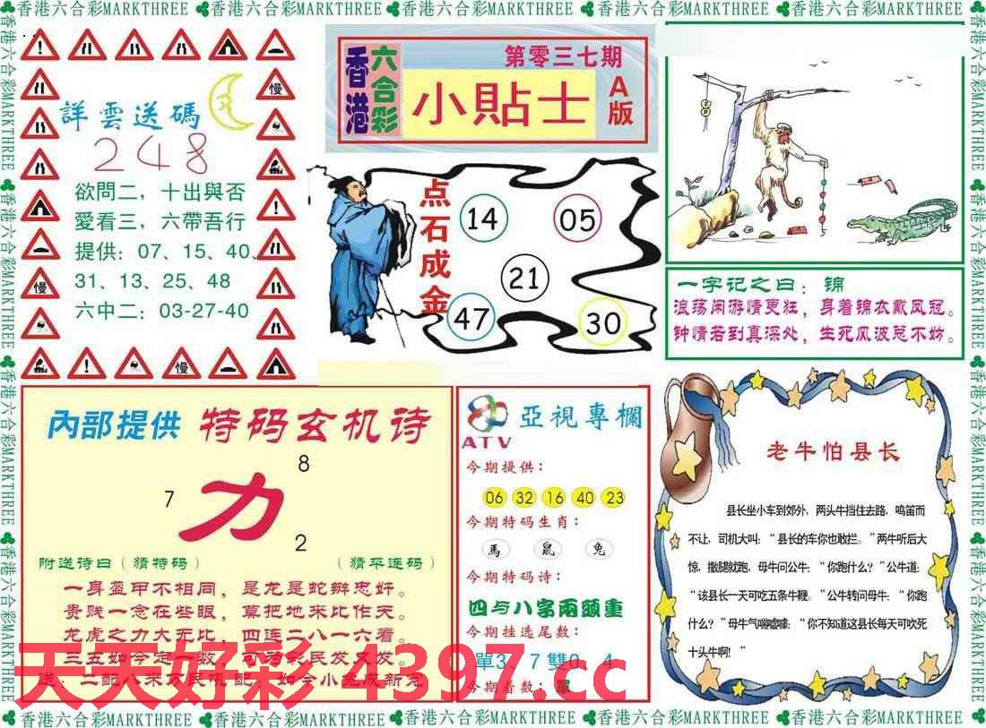 最新抓码王,最新抓码王，一路逆袭，编程成就梦想之旅
