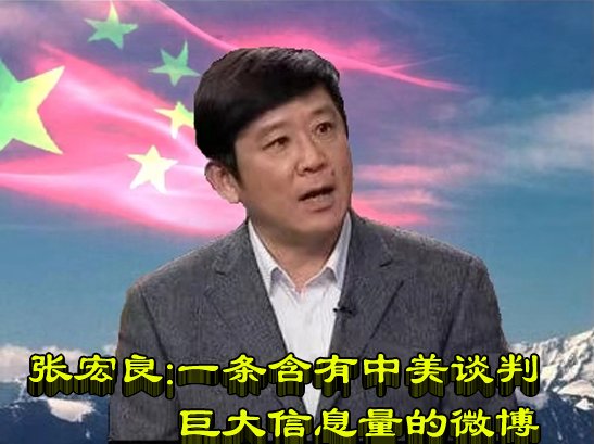 张宏良微博最新动态揭秘，城市农夫的温馨日常
