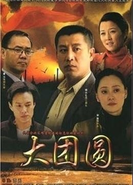 时代印记，2008年电视剧回顾与赏析