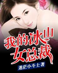 冰山女总裁沈浪，职场风云与情感纠葛交织的最新章节揭秘