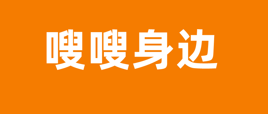 最新资讯获取与阅读步骤指南大全