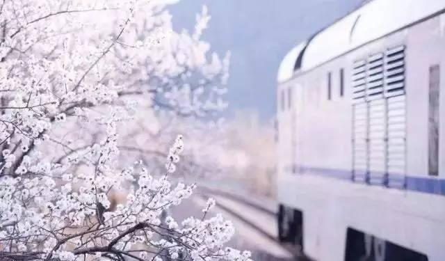 北京S2线最新时刻表发布🌟🚇