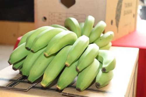 最新大香蕉资讯速递，独家报道与新鲜动态🍌📣