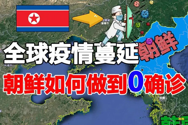 最新朝鲜疫情概述与动态更新