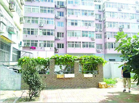 海地最新小区，变化、学习与自信的力量展现新面貌