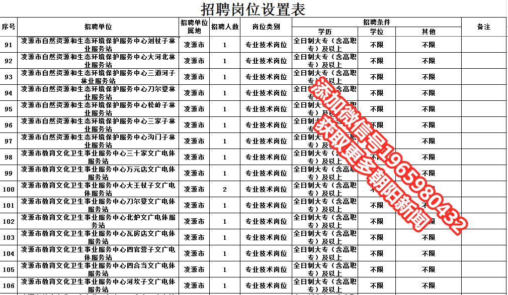 朝阳最新招聘解析与观点阐述